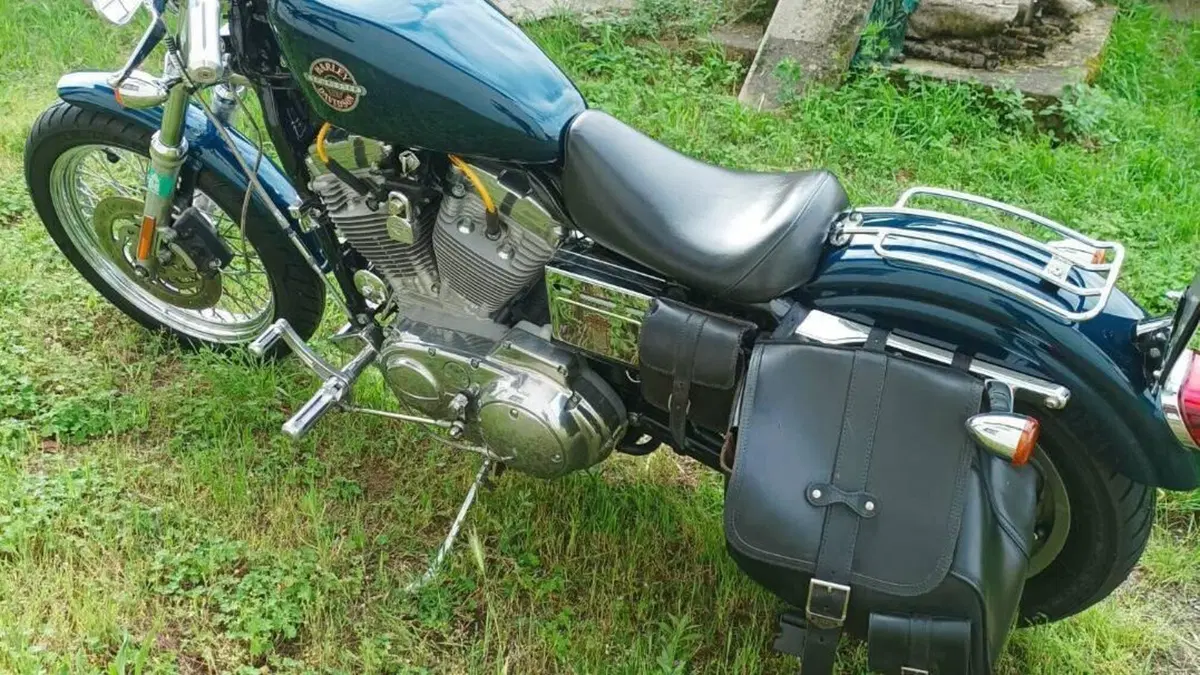 Harley-Davidson 883 Standard (2001 - 05) - XL 883  (18)