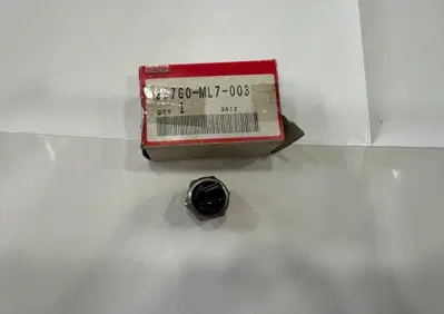 GRUPPO INTERRUTTORE TERMICO HONDA - Annuncio 9522349