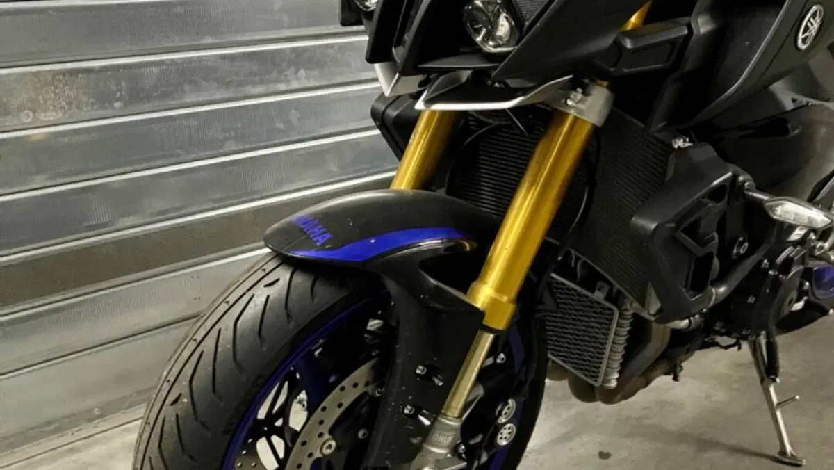 Yamaha MT-10 SP (2017 - 20)  (6)