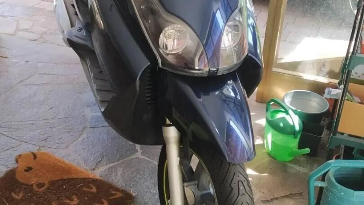 Piaggio X7 250 (2007 - 12)  (7)