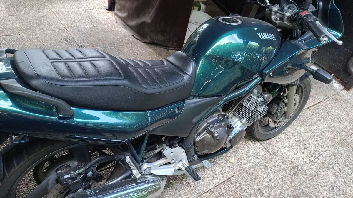 Yamaha Diversion 600  (8)