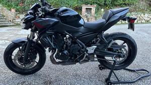 Kawasaki Z 650 (2021 - 24) 