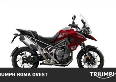 Triumph Tiger 1200 GT Pro (2024 - 26) - Annuncio 9529057