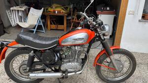 Ducati  