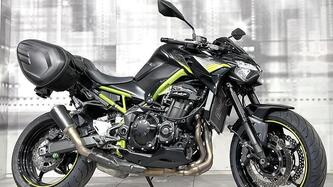 Kawasaki Z 900 (2021 - 24) usata