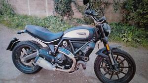 Ducati Scrambler 800 Icon (2021 - 22) 