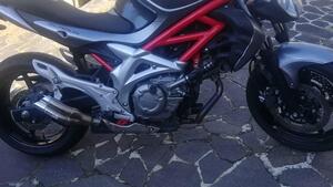 Suzuki Gladius 650 SFV (2009 - 15) 