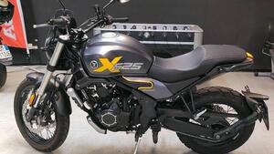 Voge Trofeo 525ACX Scrambler (2023 - 25) 