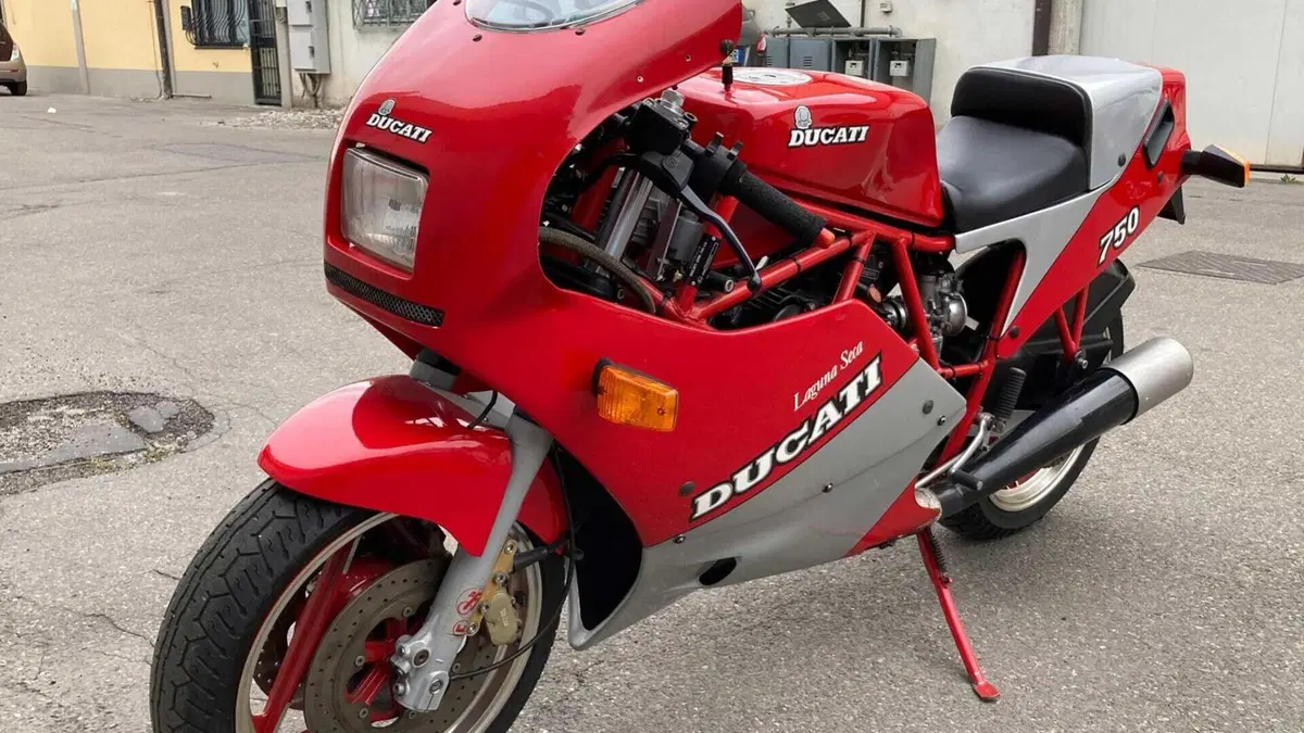 Ducati   (3)