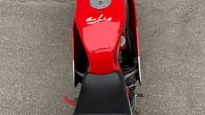 Ducati   (7)