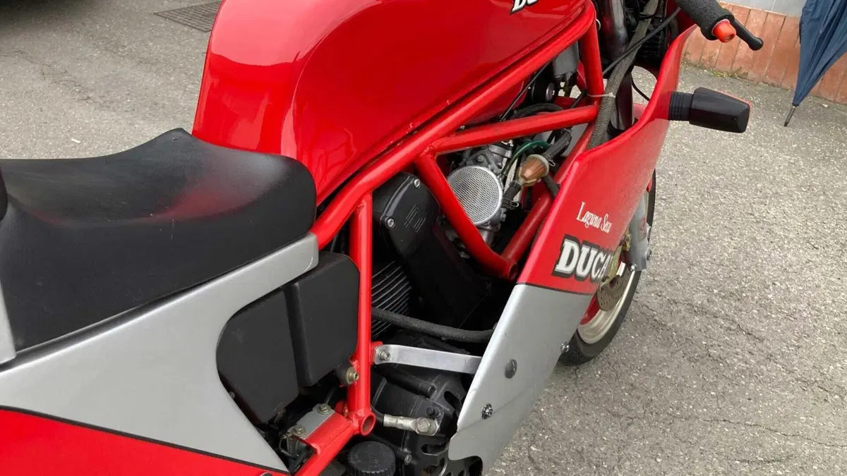 Ducati   (10)