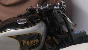 Triumph  