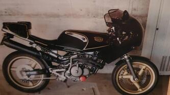 Gilera Saturno Bialbero  anniversary 500cc                                                                                                          epoca