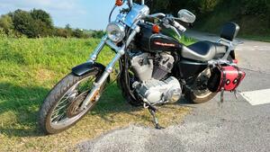 Harley-Davidson 883 Custom (2001 - 05) - XL 53C 