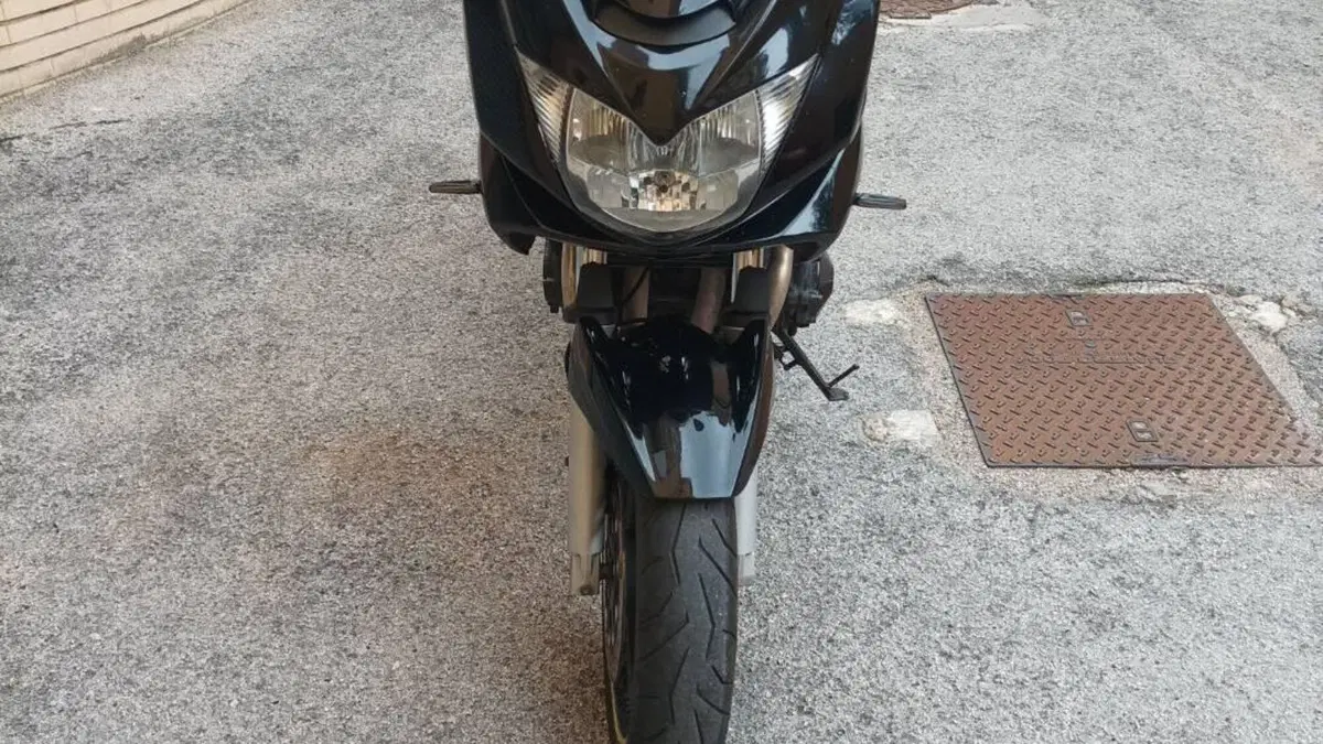 Suzuki GSF 650 Bandit S (2005 - 06)  (2)