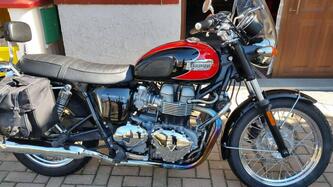 Triumph Bonneville T100 (2008 - 16) usata