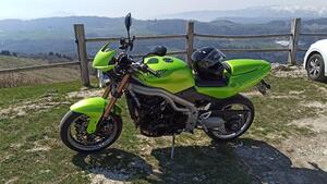 Triumph Speed Triple 955 (2002 - 04) 