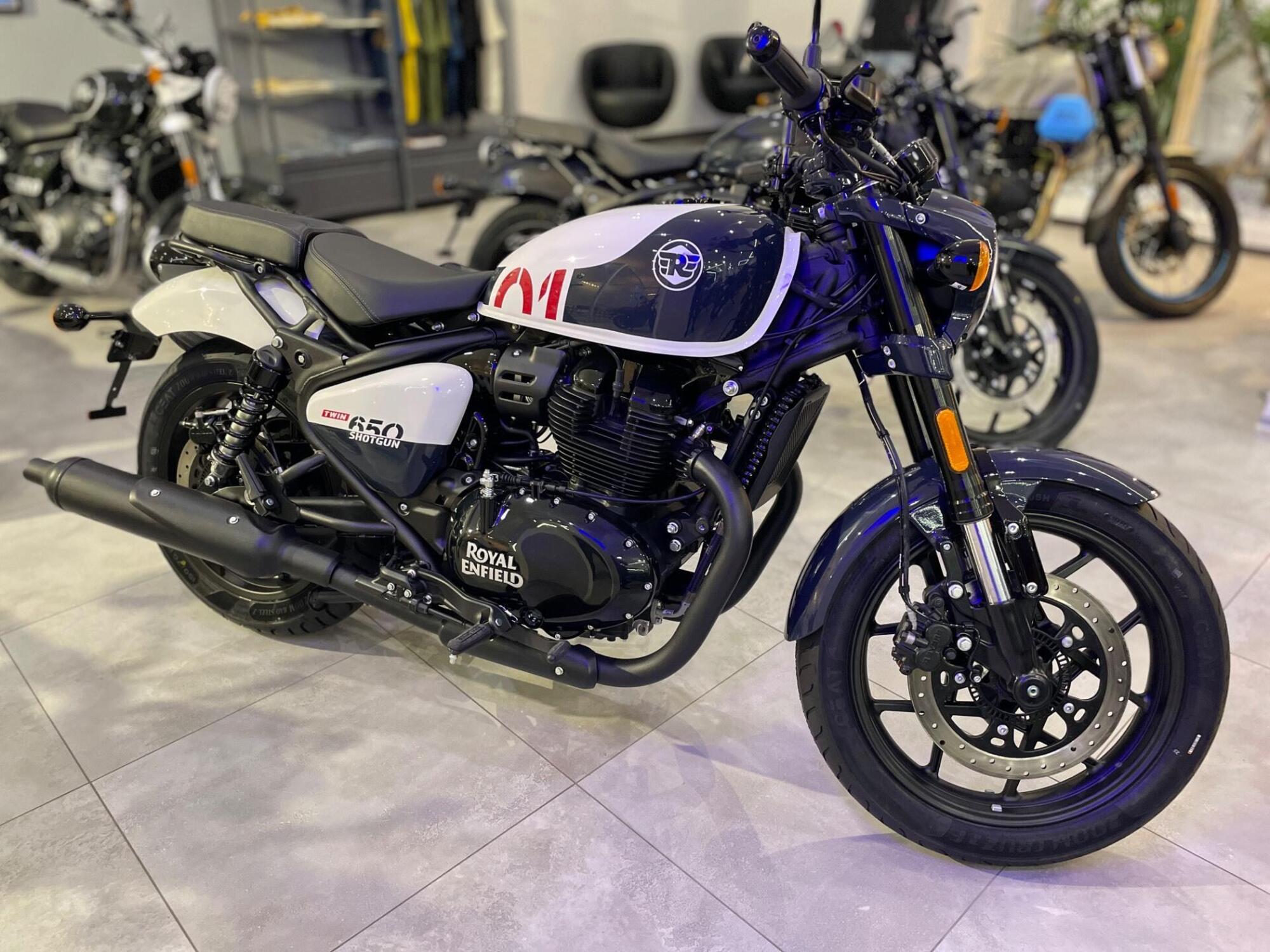 Royal Enfield Shotgun 650 (2024 - 26) Nuova