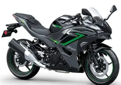Kawasaki Ninja 500 SE (2024 - 26) - Annuncio 9546946