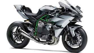 Kawasaki Ninja H2R (2022 - 25) nuova