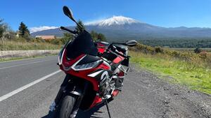 Aprilia Tuono 660 (2021 - 25) 