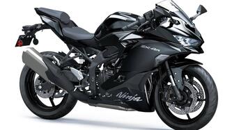 Kawasaki Ninja ZX-4R (2024 - 25) nuova