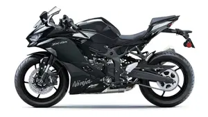 Kawasaki Ninja ZX-4R (2024 - 26)  (3)