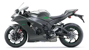 Kawasaki Ninja 1000 ZX-10RR (2025)  (3)