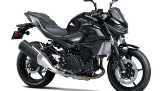 Kawasaki Z 500 (2024 - 26) nuova