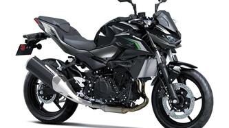 Kawasaki Z 500 (2024 - 25) nuova