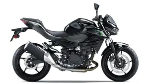 Kawasaki Z 500 (2024 - 26)  (2)