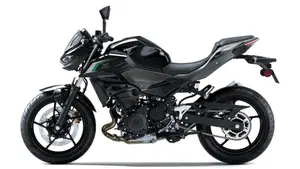 Kawasaki Z 500 (2024 - 26)  (3)