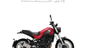 Benelli Leoncino 500 (2021 - 25) 
