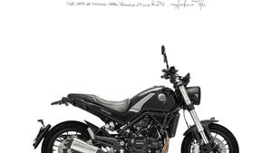Benelli Leoncino 500 (2021 - 25) 