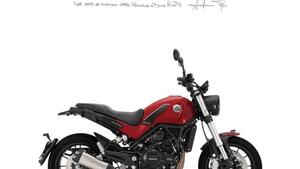 Benelli Leoncino 500 (2021 - 25) 