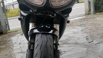 Triumph Daytona T 595 (1996 - 02) usata