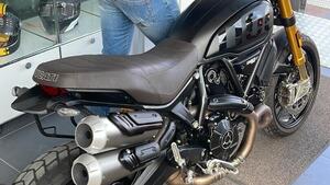 Ducati Scrambler 1100 Sport Pro (2020 - 25) 