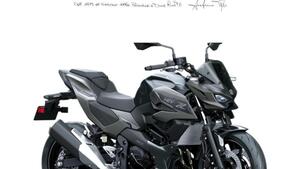 Kawasaki Z7 Hybrid (2024 - 25) 