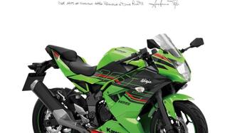 Kawasaki Ninja 125 (2021 - 24) nuova