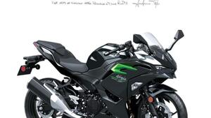 Kawasaki Ninja 500 (2024 - 25) 