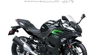 Kawasaki Ninja 500 (2024 - 25) nuova