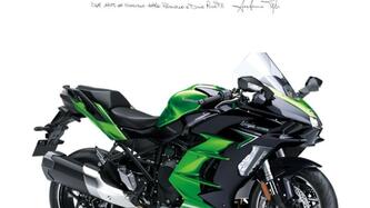 Kawasaki Ninja 1000 H2 SX SE (2023 - 25) nuova