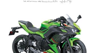 Kawasaki Ninja 650 (2021 - 25) nuova