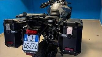 Triumph Tiger 900 GT Pro (2024) usata