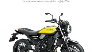Kawasaki Z 650 RS (2022 - 24) 