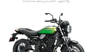 Kawasaki Z 650 RS (2022 - 24) 