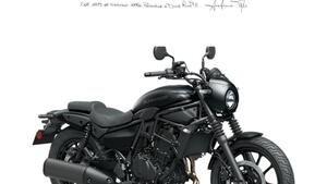 Kawasaki Eliminator 500 SE (2024 - 25) 
