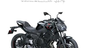 Kawasaki Z 650 (2021 - 24) 