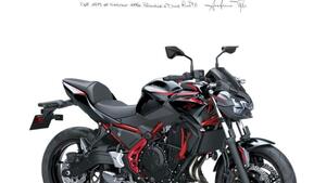 Kawasaki Z 650 (2021 - 24) 
