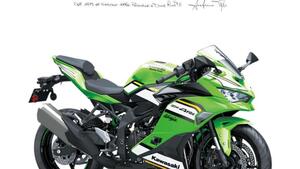 Kawasaki Ninja ZX-4RR (2024 - 25) 